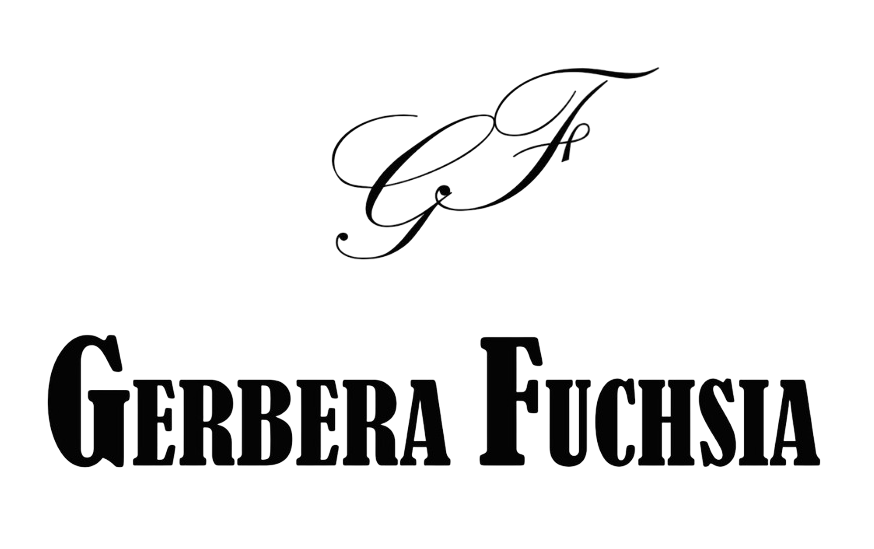 Gerbera Fuchsia